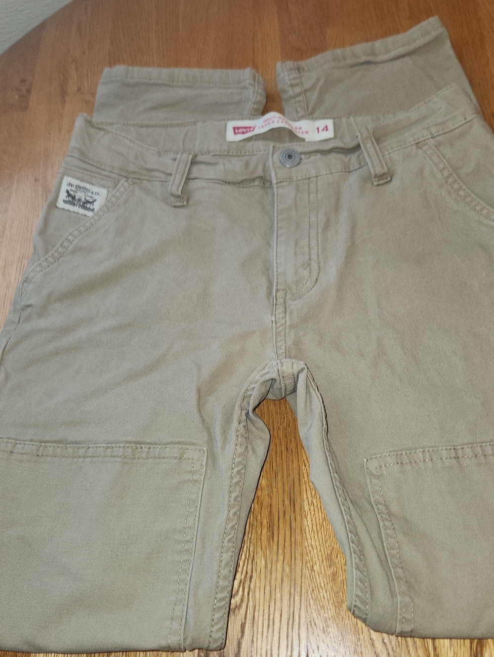 Boys Levi Strauss Carpenter Pants